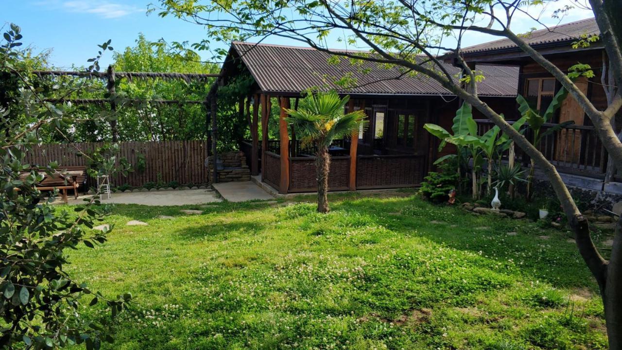 Ковчег Lidzava Ngoại thất bức ảnh