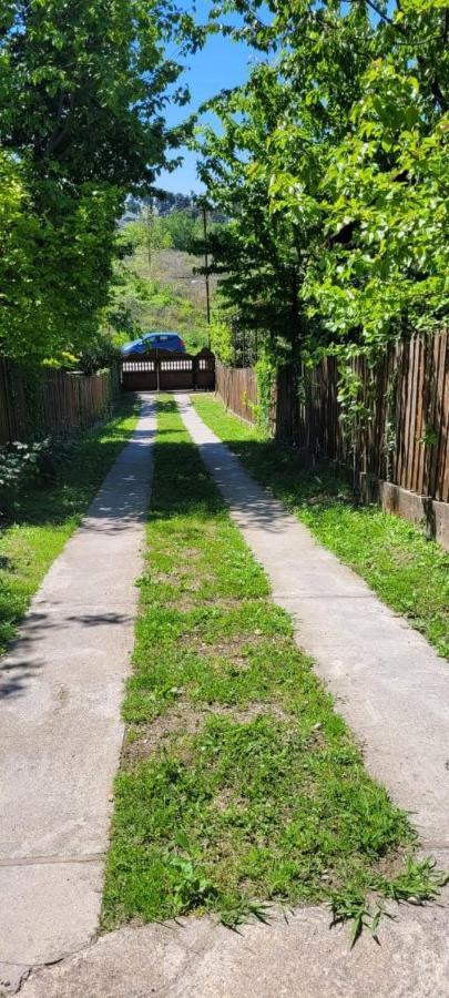 Ковчег Lidzava Ngoại thất bức ảnh
